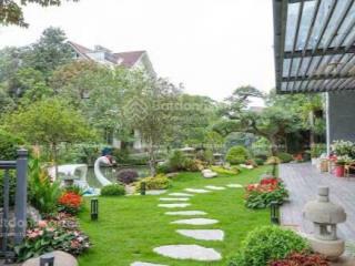 Bán đơn lập hoa sữa 5 442m2 128 tỷ hoàn thiện nội thất cực chất view sông đẹp đường bàn cờ nội khu