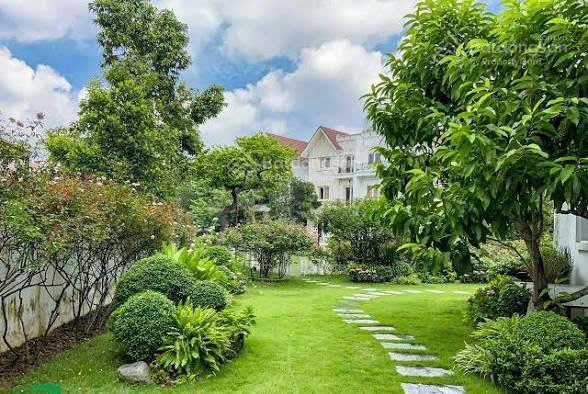 Bán đơn lập hoa sữa 5 442m2 128 tỷ hoàn thiện nội thất cực chất view sông đẹp đường bàn cờ nội khu