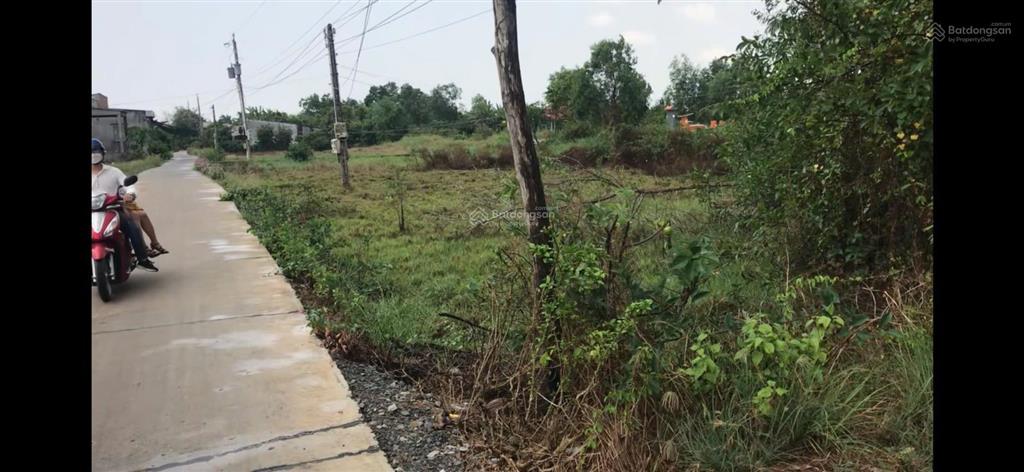 Đất đẹp tân tập 305m², đường bê tông xe hơi vào thoải mái