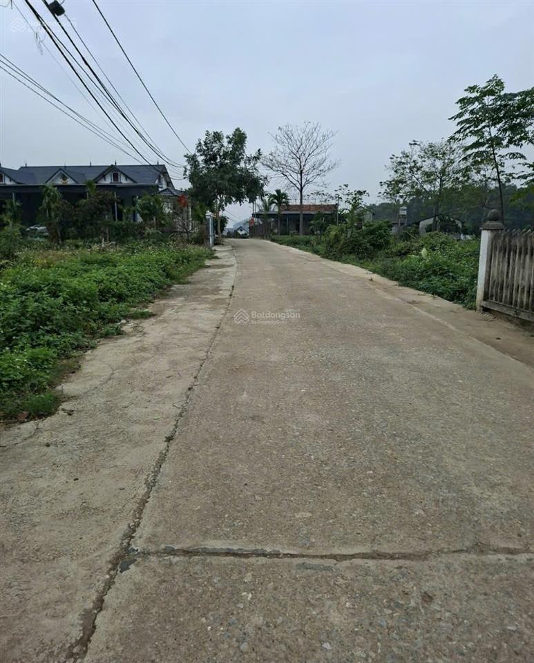 Bán lô đất ba trại, ba vì, 298,7m², mặt tiền 8m, nở hậu, giá tốt, sẵn sổ, giao dịch ngay