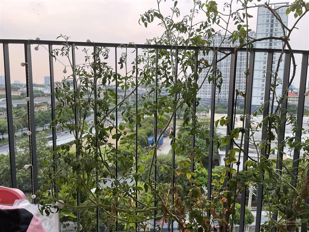 Cho thuê ch 3pn, 90.8m2, giá ưu đãi 11,1 triệu tại centum wealth, phường hiệp phú, q9