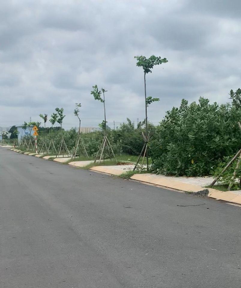 BÁN GẤP ĐẤT DỰ ÁN ĐẠI HỌC QUỐC GIA 245 – LÔ LỚN 18x20M – GIÁ TỐT TP. THỦ ĐỨC