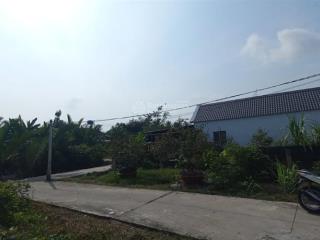 Bán đất vườn tại nhơn thạnh trung, tân an, long an, 3000m2, giá thỏa thuận, view đẹp