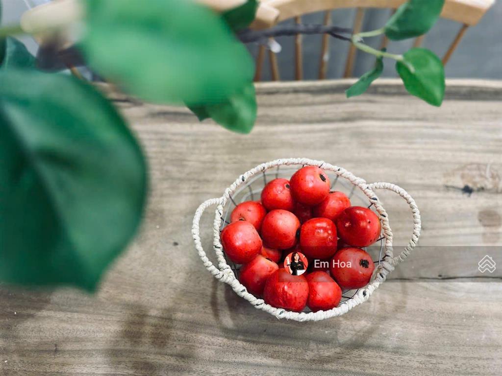 Bán căn hộ 2 pn loại to tòa s2.09 vinhomes ocp1, full nội thất hiện đại cao cấp, nhận nhà ở ngay