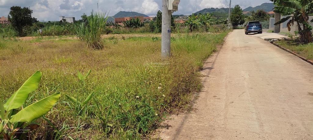 Đất vàng đại lào  cơ hội sở hữu view suối, xây dựng biệt thự nghỉ dưỡng