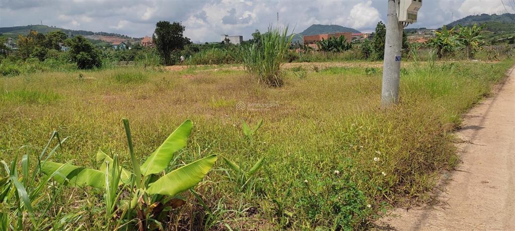 Đất vàng đại lào  cơ hội sở hữu view suối, xây dựng biệt thự nghỉ dưỡng