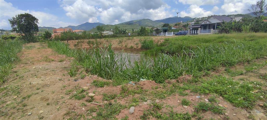 Đất vàng đại lào  cơ hội sở hữu view suối, xây dựng biệt thự nghỉ dưỡng