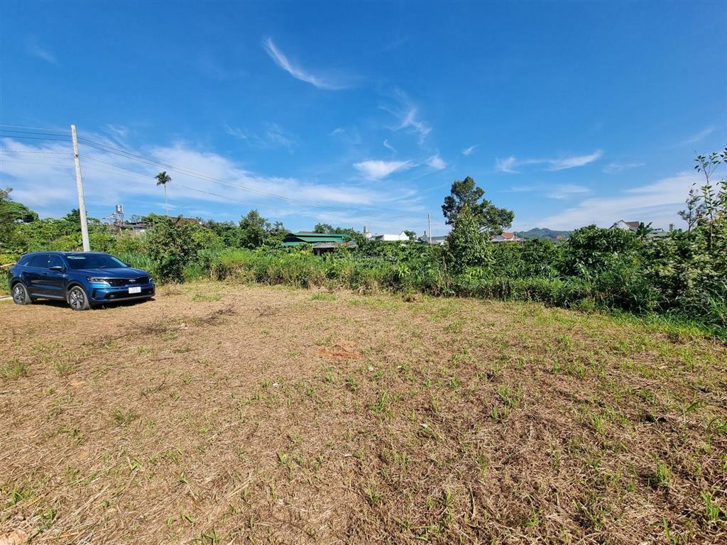 Đất vàng đại lào  cơ hội sở hữu view suối, xây dựng biệt thự nghỉ dưỡng