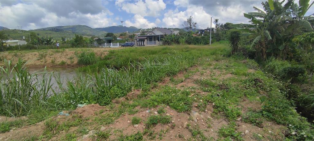 Đất vàng đại lào  cơ hội sở hữu view suối, xây dựng biệt thự nghỉ dưỡng