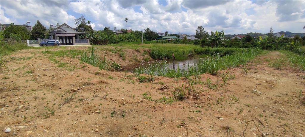 Đất vàng đại lào  cơ hội sở hữu view suối, xây dựng biệt thự nghỉ dưỡng