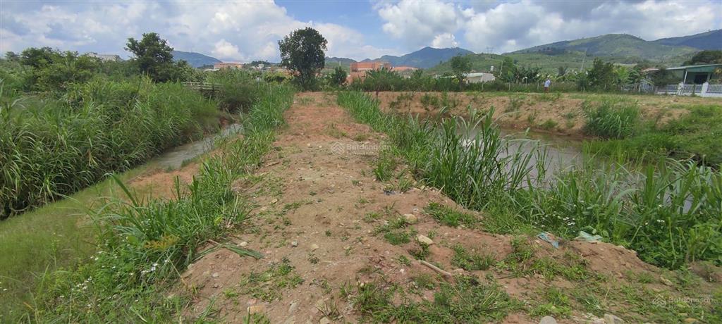 Đất vàng đại lào  cơ hội sở hữu view suối, xây dựng biệt thự nghỉ dưỡng