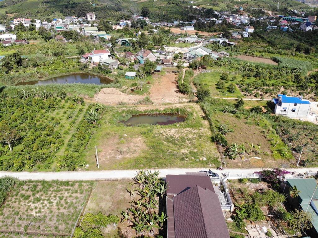 Đất vàng đại lào  cơ hội sở hữu view suối, xây dựng biệt thự nghỉ dưỡng