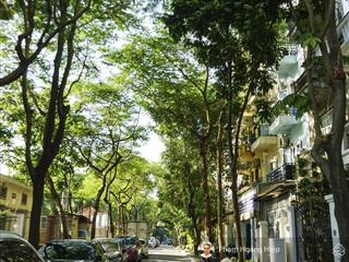 Mặt phố xuân quỳnh~100m2x 6tầng mặt tiền 5m phân lô, ô tô tránh vỉa hè, view công viên, giá 48 tỷ