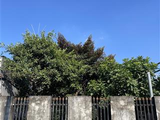 Bán nhà mặt tiền đường nhựa lớn. 20*25m (460m2 thổ cư)