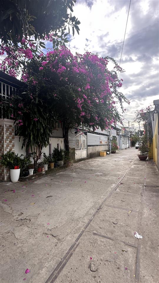 Bán đất ngang 7,8m dt 92,4m2 sát đường nguyễn chích hẻm thông 6m bắc nha trang
