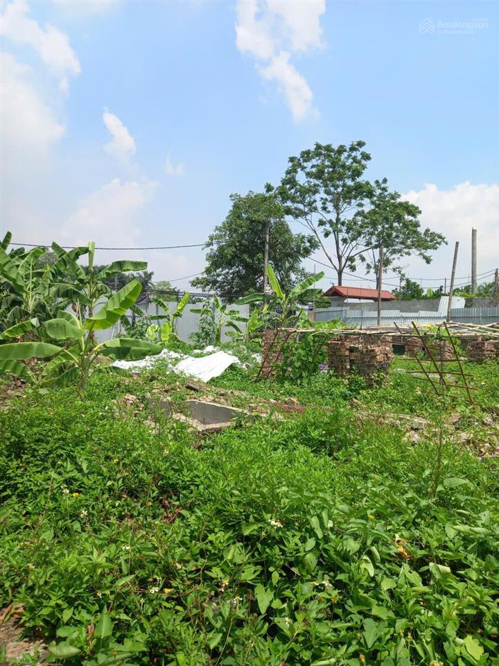 Bán đất xen kẹt phường thượng cát, hà nội