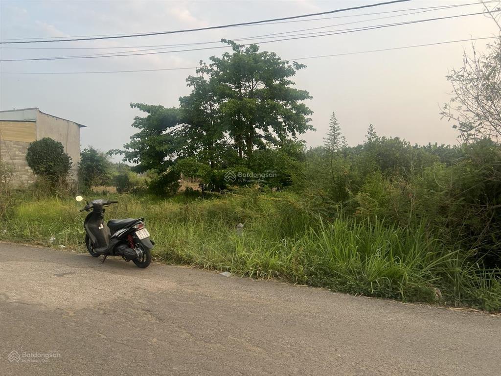 Gia đình chính chủ cần bán lô đất tại phường bảo vinh, đất mặt tiền lớn hai làn xe chạy