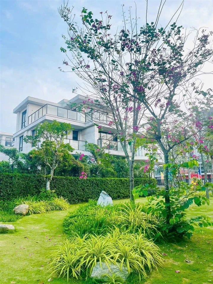 Mở bán biệt thự góc compound the mizuki view sông mua từ cđt