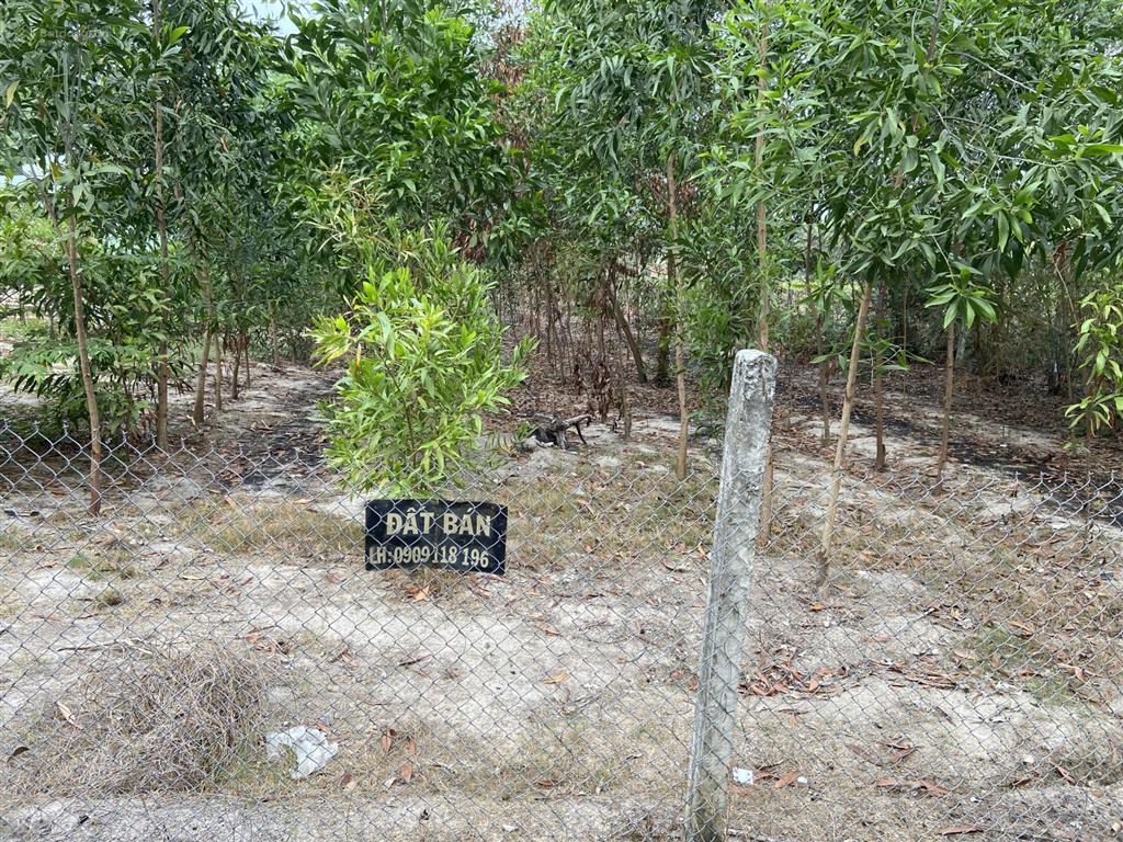 Chính chủ bán đất khu dân cư hiện hữu