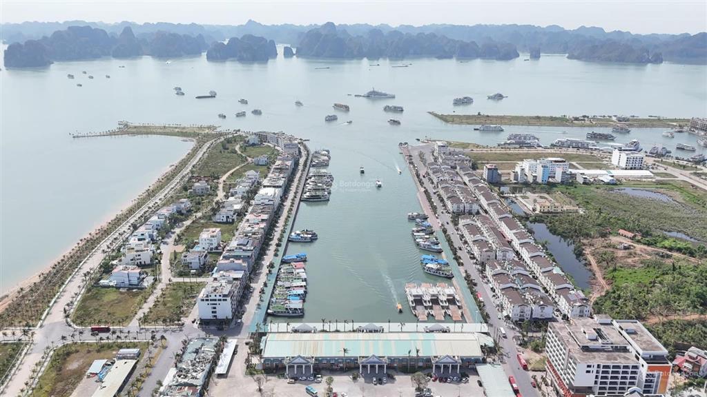 Kho đất đẹp trên đảo ngọc tuần châu, vịnh hạ long. giáp vinhomes hạ long xanh. cam kết giá tốt ạ.