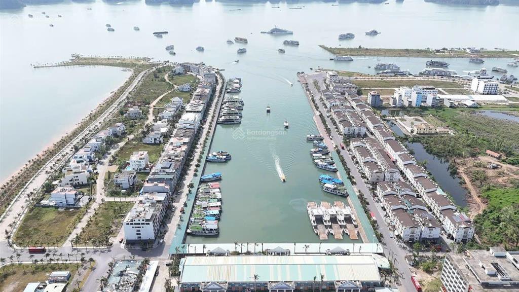 Chính chủ gửi bán ô đất biệt thự mặt biển tuần châu, view trực diện vịnh hạ long. giá tốt ạ