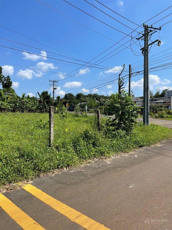 Ngộp ngân hàng cần sang nhanh nền đất mặt tiền đường nhựa, cách chợ chỉ 2km
