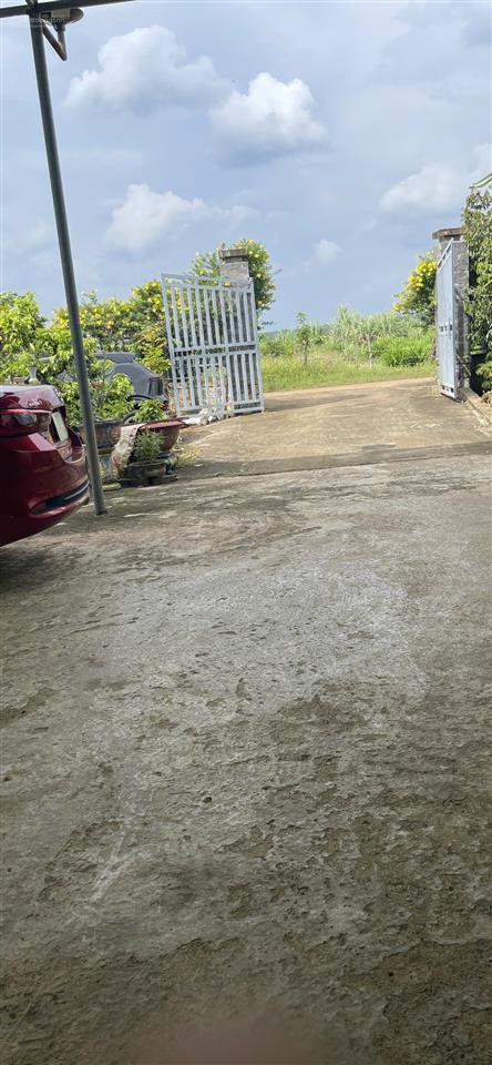 Chủ gửi bán mảnh vườn ấp 4 sông nhạn, cách kcn chỉ 2km