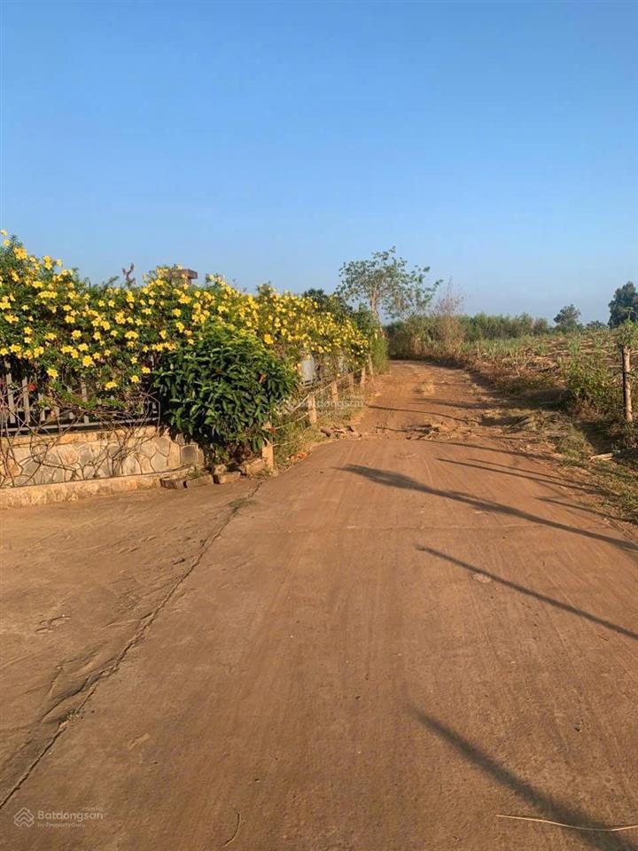 Chủ gửi bán mảnh vườn ấp 4 sông nhạn, cách kcn chỉ 2km
