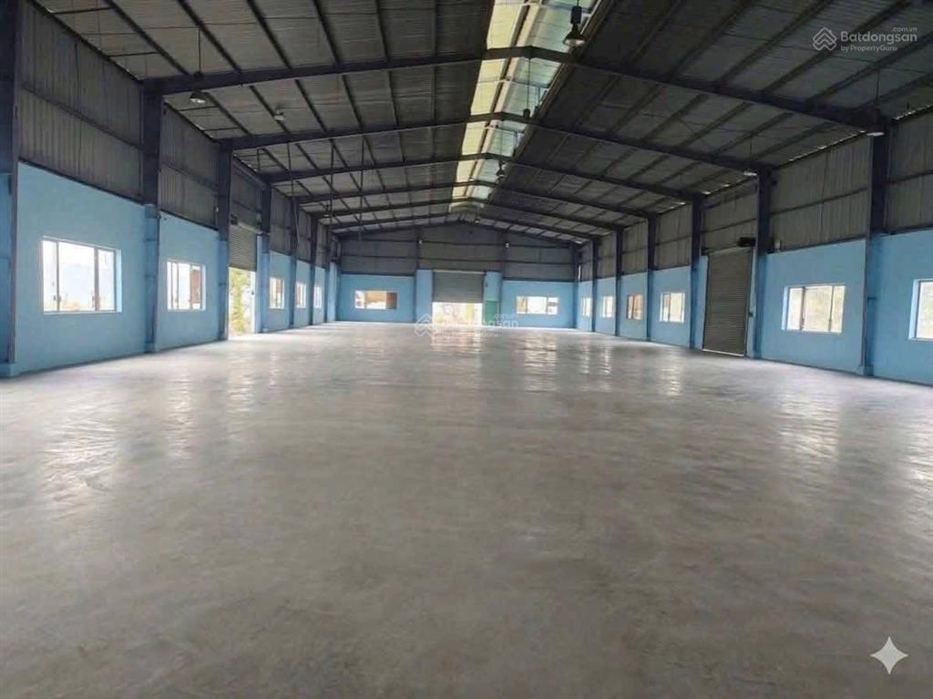 Cho thuê 6000m2 nhà xưởng củ chi / pccc tự động  full cont