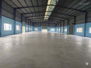 Cho thuê 6000m2 nhà xưởng củ chi / pccc tự động  full cont