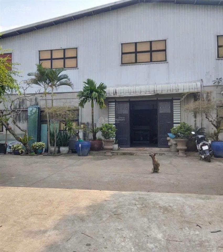 Cho thuê xưởng 1500m2 có pccc đường cont