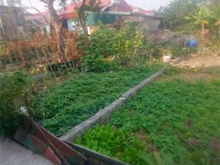 Bán đất thị trấn phú xuyên, phú xuyên, thường tín 50m gần hồ gần ôtô giá chỉ 1,45 tỷ.