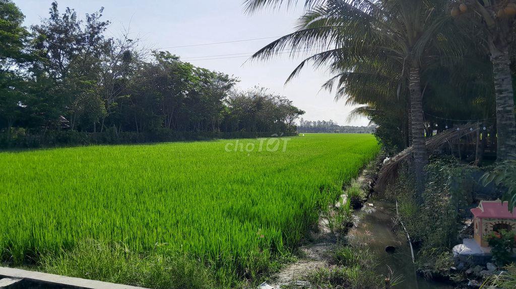 BÁN ĐẤT MẶT TIỀN XE TẢI – 4.576m² TẠI TP. CHÂU ĐỐC