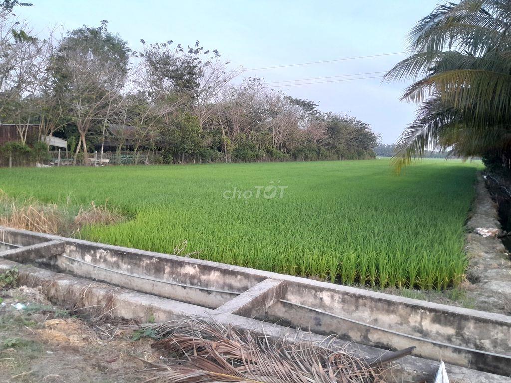 BÁN ĐẤT MẶT TIỀN XE TẢI – 4.576m² TẠI TP. CHÂU ĐỐC