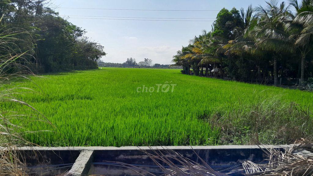 BÁN ĐẤT MẶT TIỀN XE TẢI – 4.576m² TẠI TP. CHÂU ĐỐC