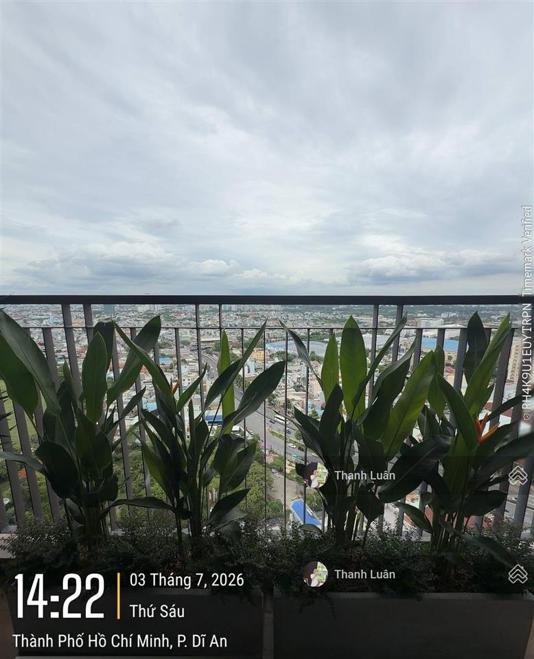 Bán cc opal boulevard, 4,55 tỷ, 99,8m2, 3pn, 2wc, đông bắc, bình dương