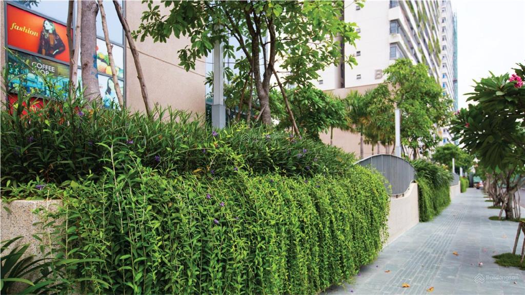 Bán căn hộ 1pn, 1wc, 49m2, giá cực tốt chỉ có 3,6 tỷ tại diamond lotus riverside, ngay cầu chữ y