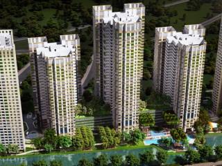 Bán gấp ch 6pn, 172.6m2 tại mulberry lane, 14,3 tỷ, hà đông, hà nội giá cực chất