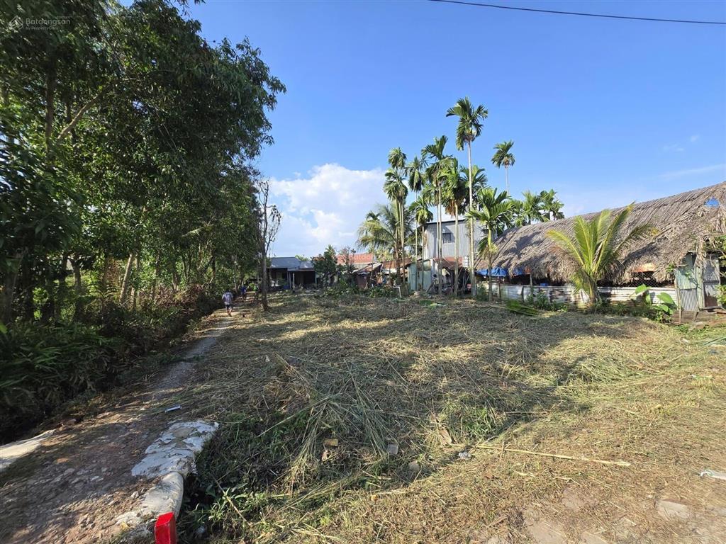 [chính chủ] bán 500m2 đất 2 mt xã phú thạnh, vị trí chiến lược cách vd3 400m di chuyển 15p về sg.