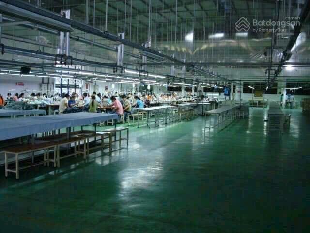 Bán xưởng 7875m đã hoàn công gia 60ty mặt tiền tĩnh lộ 15 phú hoà đông củ chi