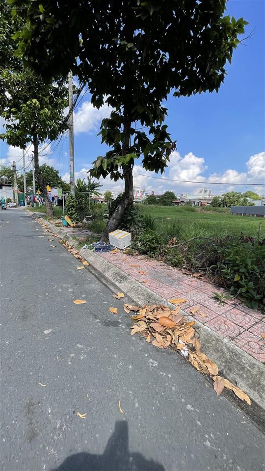 Cần bán 6589m full thổ cư 95% đất 2 mặt đường sau chợ đại hải xuân thới thượng hóc môn
