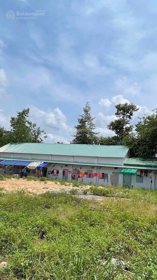 Bán xưởng 8131m2 giá 190tỷ, 3 mặt tiền dương công khi, tân hiệp, hóc môn