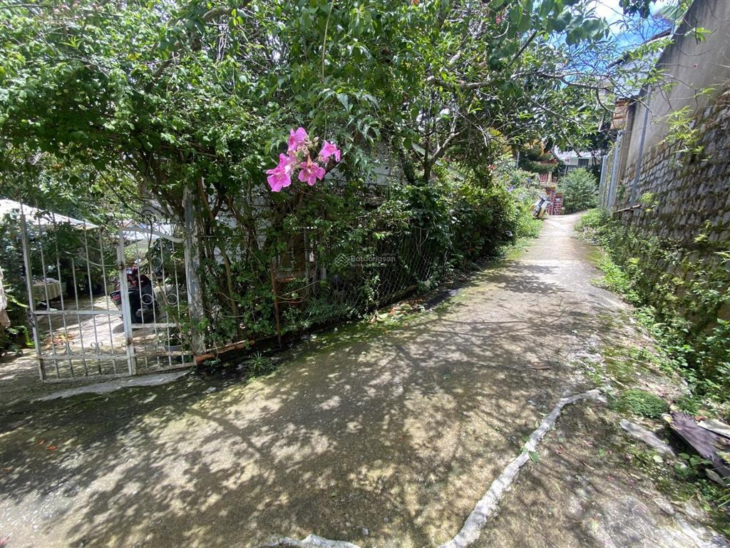 Bán 427,54m² nhà đất ở trung tâm đà lạt  gần ga đà lạt  phạm hồng thái  quỹ đất hiếm