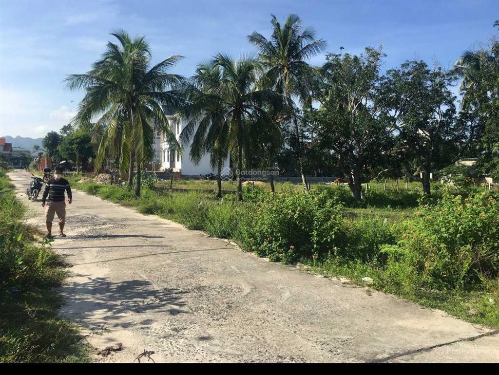 Bán đất thôn đông cát, ninh hải, ninh hoà, gần biển dốc lết, giá rẻ.  0977 681 ***
