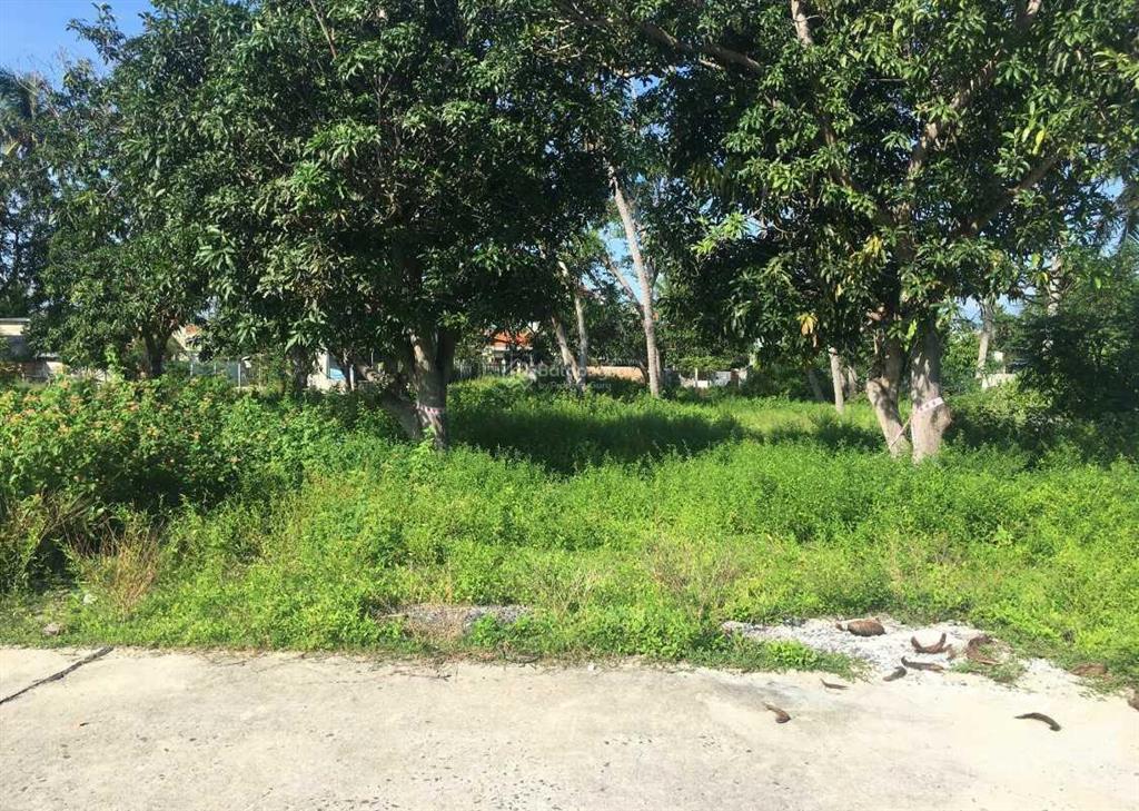 Bán đất thôn đông cát, ninh hải, ninh hoà, gần biển dốc lết, giá rẻ.  0977 681 ***