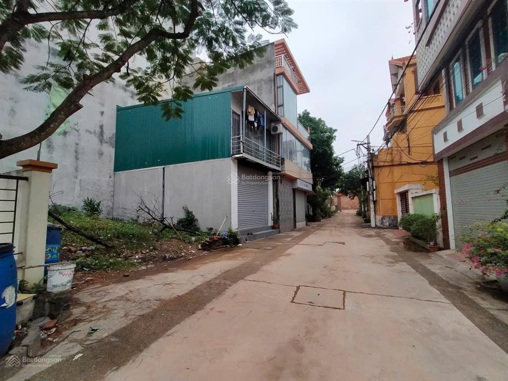 Bán mảnh đẹp đất gần trục chính thôn phúc thọ  mai lâm  đông anh. (trong đê)diện tích 46.1m2