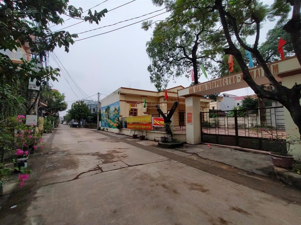 Bán mảnh đẹp đất gần trục chính thôn phúc thọ  mai lâm  đông anh. (trong đê)diện tích 46.1m2