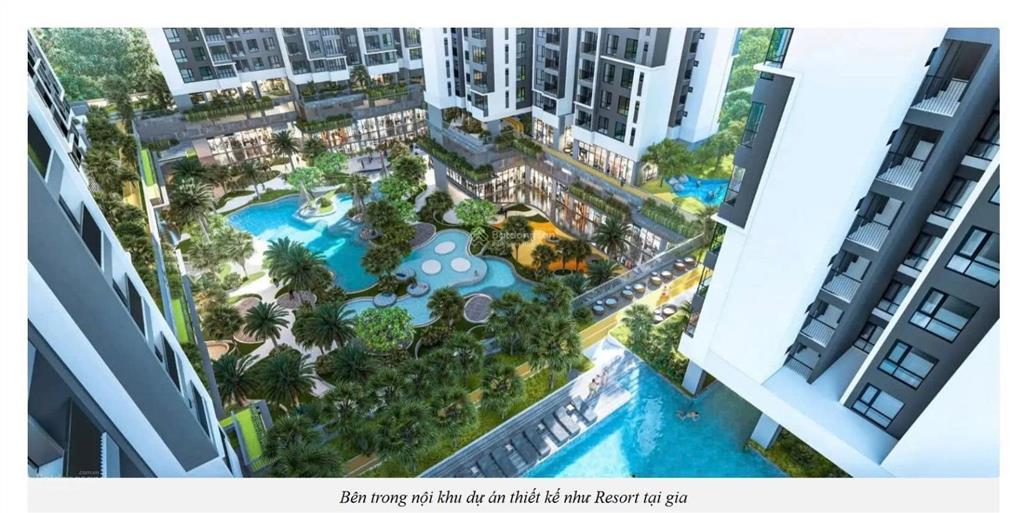 Căn hộ the harmonie phú mỹ hưng của chủ đầu tư phú mỹ hưng sắp ra mắt vào tháng 1/2026  giá tốt