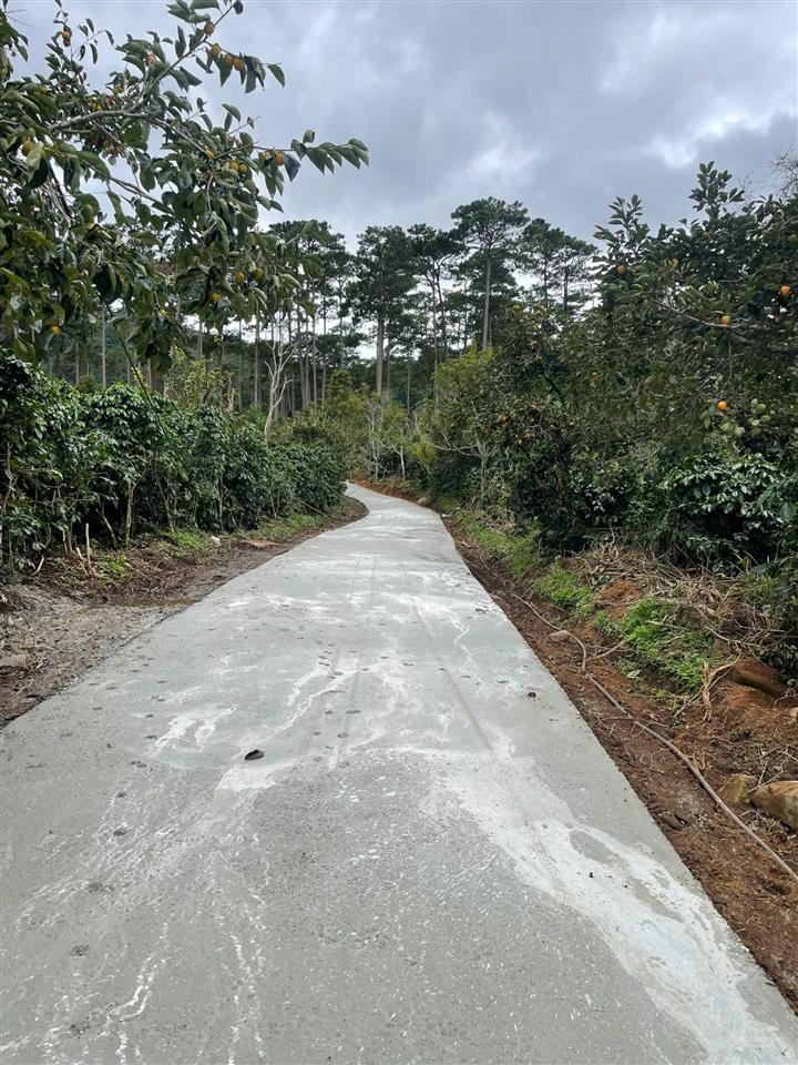 Chính chủ bán 03 lô vườn hồng cổ 1000m2/lô tại cầu đất  phường xuân trường  đà lạt
