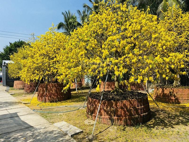 Đầu tư lô đất nền huế 2200m2 bờ nam thành phố huế giá chỉ 1,8tr/m2